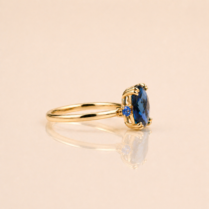 CLÉO BLEU ROI