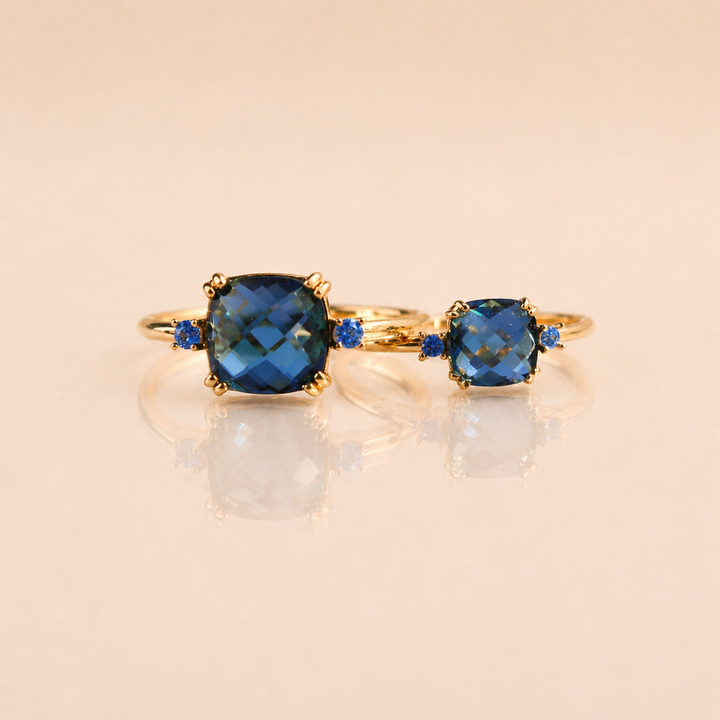 CLÉO BLEU ROI