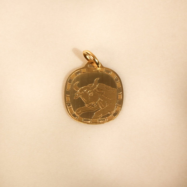 PENDENTIF SIGNE ASTRO